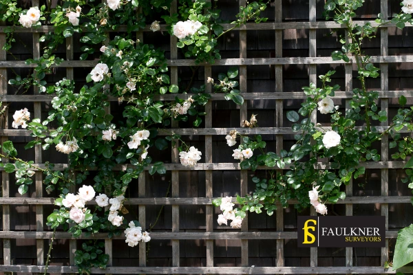 Can I put trellis on my Neighbours garage wall? 2 Do you want to adapt your neighbours garage door and add a trellis Peckham? Talk to Faulkner Surveyor Peckham